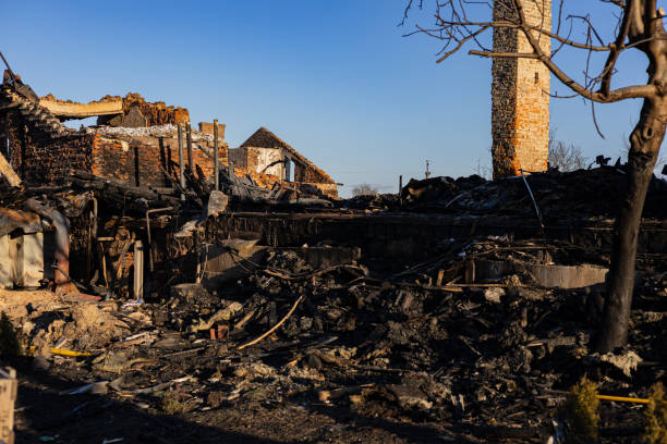 Reliable Fire Damage Restoration contractor in Austin, TX by Fire Damage Flint